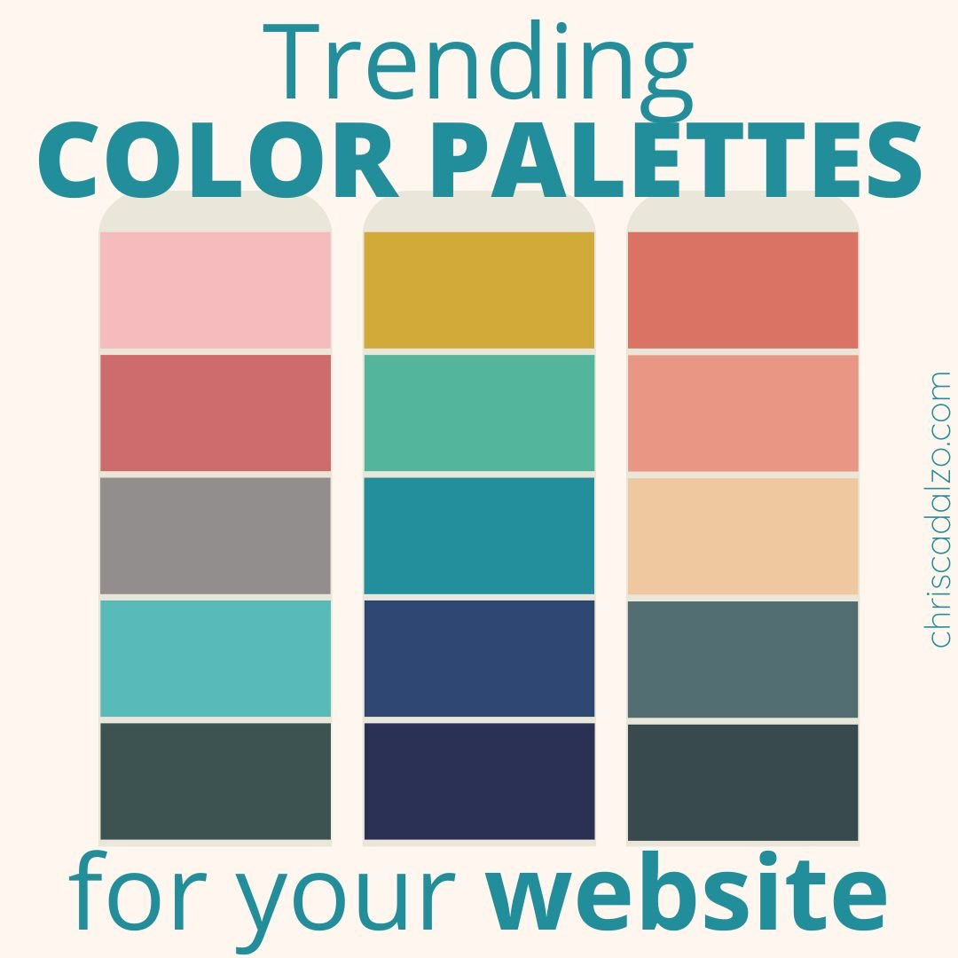 Website Color Palettes