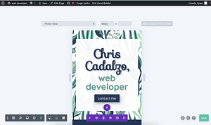 phone version of a web developer's home page, shown in the Divi visual builder.